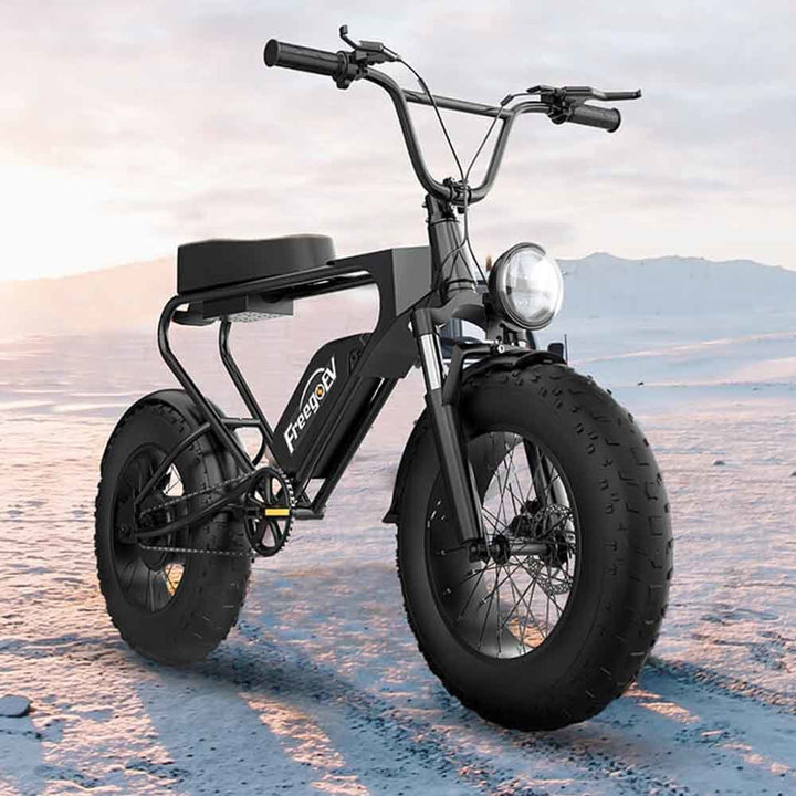 FREEGOEV EMB003 Off Road Mountain Electric Bike