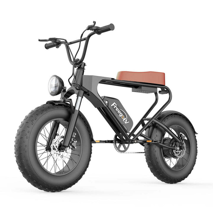 FREEGOEV EMB003 Off Road Mountain Electric Bike