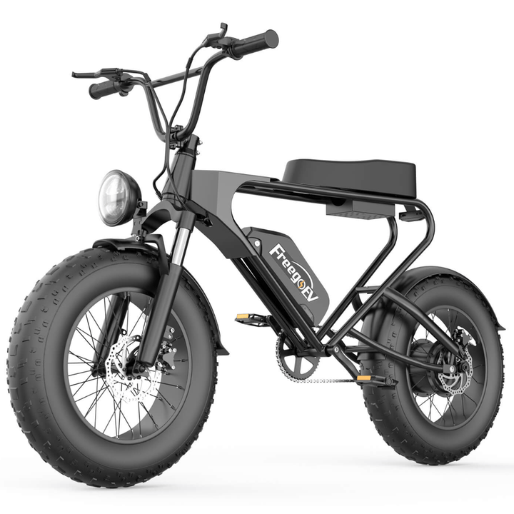 FREEGOEV EMB003 Off Road Mountain Electric Bike