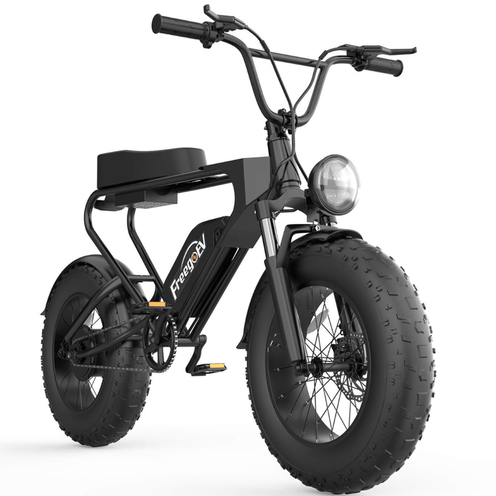 FREEGOEV EMB003 Off Road Mountain Electric Bike