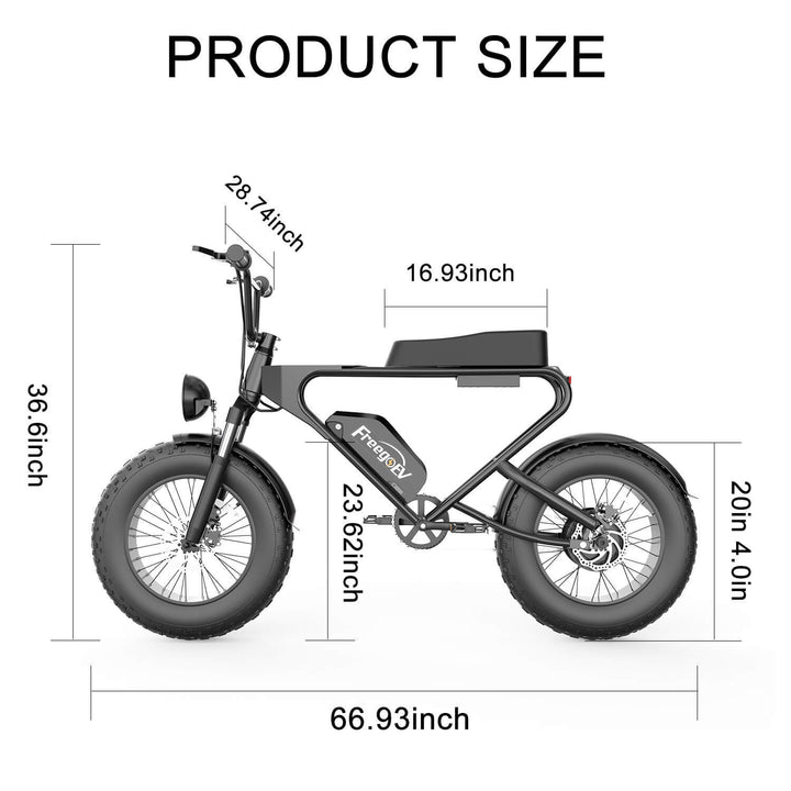 FREEGOEV EMB003 Off Road Mountain Electric Bike
